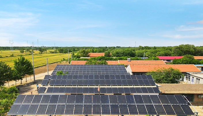 官网金装房.jpg 官网金装房.jpg